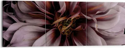 Produktbild von Bild auf Leinwand - Leinwandbild - 3 Teile - Blumenstrauß Künstlerisch Blume - 150x50cm - Wand Bild - Wanddeko - Wandbilder - Leinwanddruck - Bilder - Wanddekoration - Leinwand bilder - CA150x50-5019