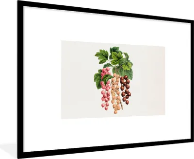 Produktbild von MuchoWow® Gerahmtes Poster Lebensmittel - Beeren - Pflanze 90x60 cm - Poster mit Schwarzem Bilderrahmen Wandposter Rahmen Foto Bilder - Wanddekoration - Fotos