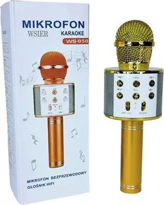 Produktbild von Drahtloses Mikrofon JYWK 369-1 13860