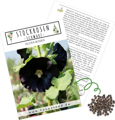 Produktbild von Stockrosen Samen zweijährig (Alcea Rosea) - Wunderschöne Rosen mit langer Blütezeit für besondere Akzente in Ihrem Blumenbeet (Schwarz)