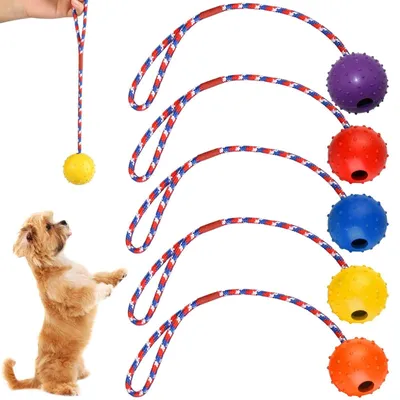 Immagine prodotto di Solidchoice - Set di 5 giocattoli per cani con corda, ideali per l'addestramento e il gioco