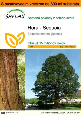 Obrázok produktu pre SAFLAX Garden in the bag - Hora - Sequoia - Sequoiadendron gigantea - 50 Semená - S pestovateľským substrátom v praktickom samostaviteľnom vrecku