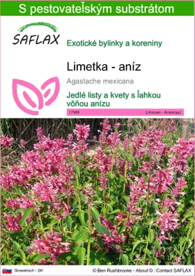 Obrázok produktu pre SAFLAX - Limetka - aníz - Agastache mexicana - 50 Semená - S pestovateľským substrátom bez klíčkov