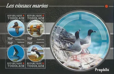 Produktbild von Briefmarken Togo 2015 Mi 6684-6687 Kleinbogen (kompl. Ausgabe) postfrisch Seevögel
