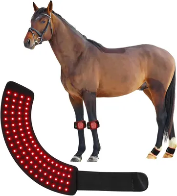 Produktbild von LED Lichttherapie Pad Pferd USB-C Infrarot Rotlicht 1800mAh verstellbar für Sehnen Sprunggelenk Muskelpflege Reitsport