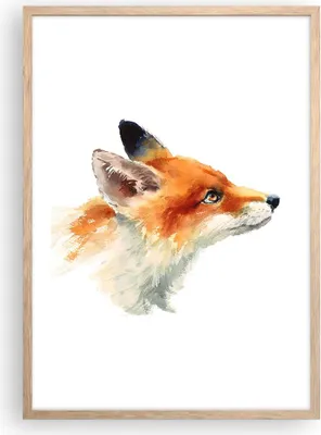 Produktbild von Gerahmtes Poster - Rahmen in heller Eiche - Fuchs Tier Natur - 50x70 cm - Wand Bild - Wanddeko - Wandbilder - Kunstposter - Wandposter - Bilderrahmen - Bilder - Kunstdruck - Wandbild - P2NPA50x70-3904