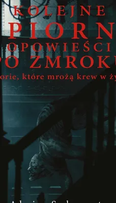 Produktbild von ISBN Kolejne upiorne opowieści po zmroku Historie które mrożą krew w żyłach, Polski, Twarda okładka, 144 stron(y)
