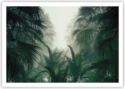 Produktbild von Poster - Poster ohne Rahmen - Dschungel Blätter Palmen - 100x70 cm - Wand Bild - Wanddeko - Wandbilder - Kunstposter - Wandposter - Bilder - Kunstdruck - Wanddekoration - Wandbild - P2XAA100x70-4504