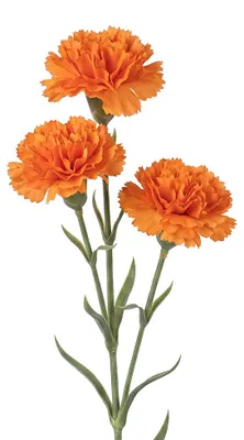 Productafbeelding van Clayre & Eef Decoratievaas Oranje, kunststof