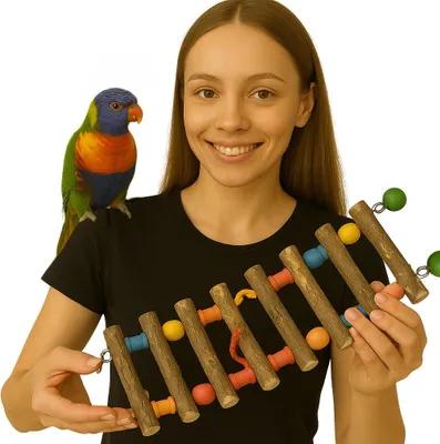 Image de Échelle en bois de poivrier coloré pour perroquets de petite et moyenne taille