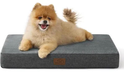 Immagine prodotto di Cuscino ortopedico per cani, 61x41x8 cm, lavabile, con memory foam, colore grigio scuro