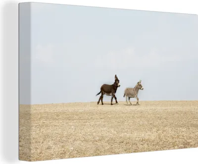 Produktbild von OneMillionCanvasses® - Leinwandbilder - 140x90 cm, Laufende Esel, Wandbilder Kunstdruck Wanddekoration - Foto auf Leinwand - Gemälde auf Holzrahmen