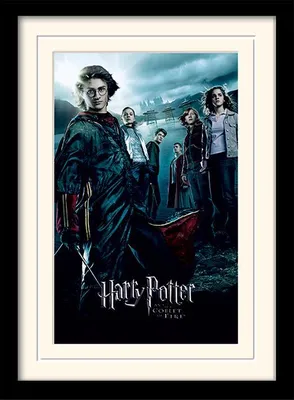 Produktbild von HARRY POTTER - Druck 30X40 gerahmt und montiert - Feuerkelch
