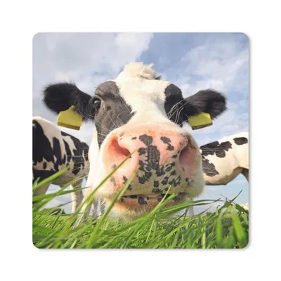 Produktbild von MuchoWow® Mauspad Mousepad Kuh - Bauernhof - Gras - Tiere 20x20 cm - Mousepads - Maus Mat - Pad - Mausunterlage - Desk Mat - Bureauartikeln