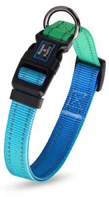 Produktbild von Hundehalsband verstellbar reflektierend L Blaugrün