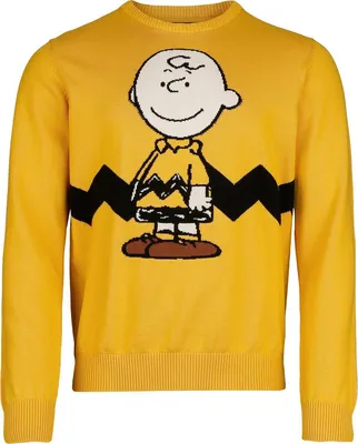 Produktbild von Peanuts Strickpullover Herren Charlie Brown multicolor XL