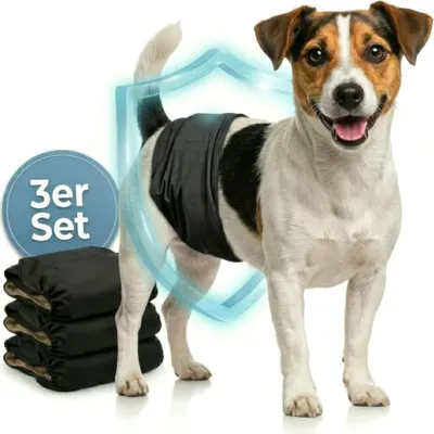 Produktbild von HUND IST KÖNIG Hundewindeln für Rüden [3 Stk], S (Taille 32-38 cm) - saugstarke Hundewindeln bei Inkontinenz, umweltfreundliche Rüdenwindel waschbar