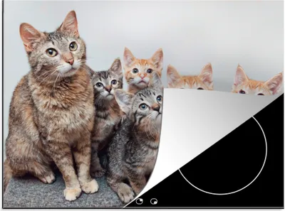 Produktbild von KitchenYeah© Herdabdeckplatte Katze - Kätzchen - Fell , 70x52cm, Küche Deko, Glaskeramikkochfeld Herdabdeckung, Abdeckplatte fùr Kochfeld
