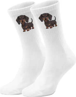 Produktbild von epicsocks Dackelliebe Brauner Dackel Socken in 42-46 im Paar