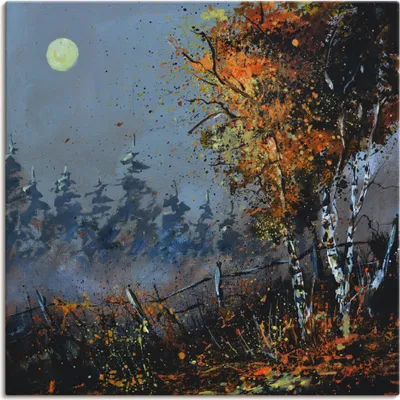Produktbild von ARTland Leinwandbild Im Wald Größe: 40x40 cm