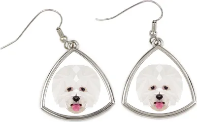 Immagine prodotto di Bichon Frise, Bichon riccio, Cagnolino di Tenerife - Orecchini con un'immagine e la scritta "Cane geometrico" di Art-Dog