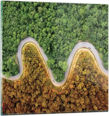 Produktbild von Bilder auf glas - Einteilig - Luftaufnahmen Weg Wald - 50x50cm - Glasbilder - Wandbilder - Bilder - zum Aufhängen bereit - Wanddekoration aus Glas - Glas Bilder - Wandbild auf Glas - GAC50x50-4659