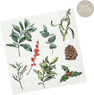 Obrázek produktu pro Stewo 2572 6102 60 Vánoční obědové ubrousky - 33 x 33 cm, 20 kusů