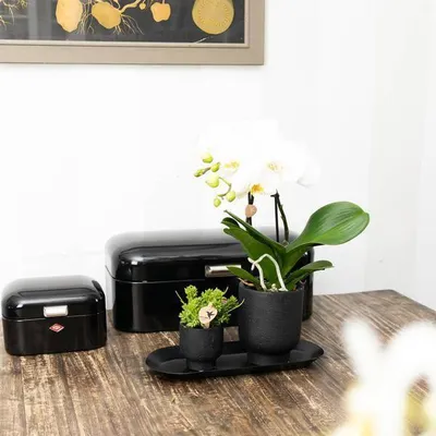 Image de Plateau ovale noir - Ø30cm x 13cm - Métal - Décoration - Plateau pour