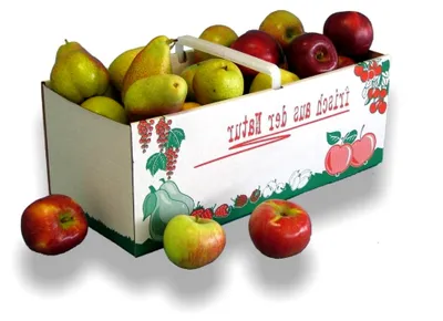 Produktbild von 3 kg Obstkorb aus Wellpappe mit Kunststoffgriff, 371 x 157 x 140 mm, 25 Stück