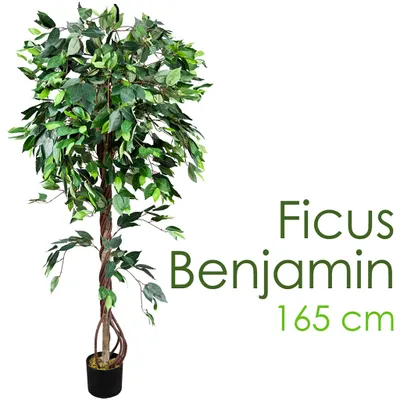 Image de Ficus Benjamina Plante Arbre Artificielle Artificiel 165cm avec Bois Véritable Domaine Interne Decovego