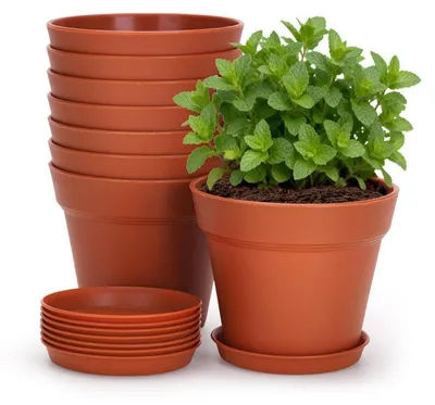 Image de Pots de fleurs avec soucoupe, lot de 8, 10 cm, en plastique, aspect terre cuite, pour cactus, herbes aromatiques