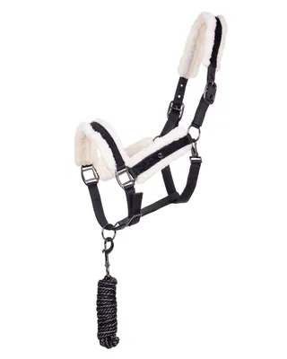Produktbild von Halfter-Set Julin Schwarz Pony
