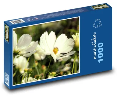 Zdjęcie produktu dla martinpuzzle - Puzzle 1000 - Kosmea - kwiat, ogród