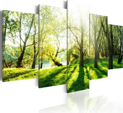 Produktbild von Leinwandbilder 200x100 cm Vlies Leinwandbild 5 tlg Kunstdruck modern Wandbilder XXL Wanddekoration Design Wand Bild - Natur Bäume Wald Park c-B-0030-b-n