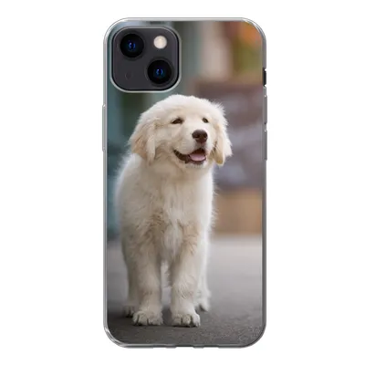 Produktbild von MuchoWow® Handyhülle Schutzhülle Hülle für iPhone 13 Ein Golden Retriever Welpe läuft auf dem Bürgersteig Silikon Softcase Handy Hülle - Karteninhaber