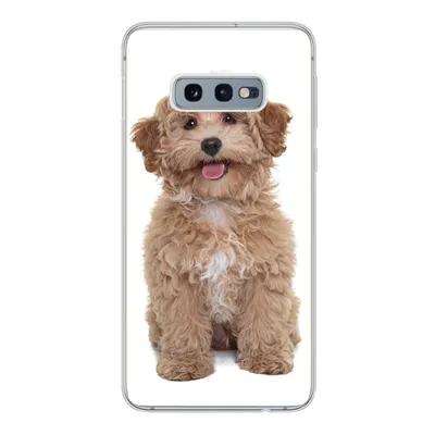 Produktbild von MuchoWow® Handyhülle Schutzhülle Hülle für Samsung Galaxy S10e Hund - Haustiere - Fell Silikon Softcase Handy Hülle - Handy