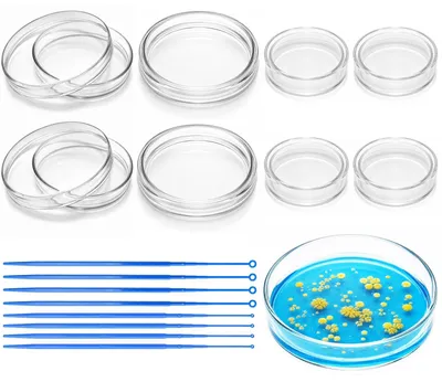 Imagen del producto de Recipientes de vidrio Petrischaal, con tapa, para laboratorio, transparentes