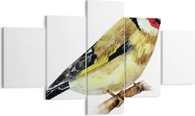 Produktbild von Bild auf Leinwand - Leinwandbild - 5 Teile - Stieglitz Vogel Aquarell - 125x70cm - Wand Bild - Wanddeko - Wandbilder - Leinwanddruck - Bilder - Wanddekoration - Leinwand bilder - EA125x70-4179
