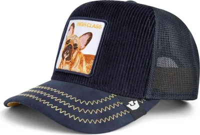 Image de Casquette Goorin Bros 101-2604-MULTI pour Uni