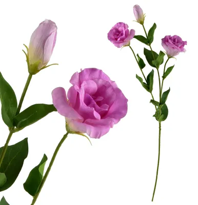 Productafbeelding van Viridis Kwiat Kunstbloem Eustoma, 70 cm, met rubberen coating