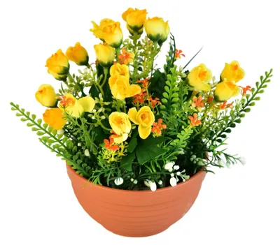 Image de Des roses jaunes dans un pot en terre cuite de Ø 22/23 cm
