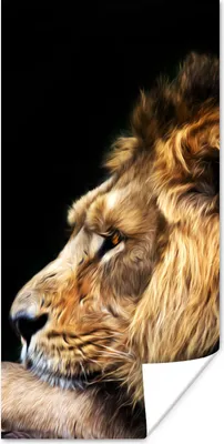 Produktbild von MuchoWow® Poster Profil - Löwe - Schwarz 20x40 cm - Plakat - Foto