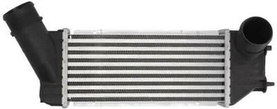 Obrázek produktu pro Chladič plnicího vzduchu THERMOTEC DAC001TT