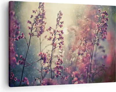 Produktbild von Bild auf Leinwand - Leinwandbild - Einteilig - Blumen Regen Licht - 70x50cm - Wand Bild - Wanddeko - Wandbilder - Leinwanddruck - Bilder - Wanddekoration - Leinwand bilder - Wandbild - AA70x50-4218