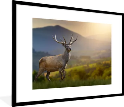 Produktbild von MuchoWow® Gerahmtes Poster Hirsche - Berg - Gras - Sonnenuntergang - Tiere - Natur 80x60 cm - Poster mit Schwarzem Bilderrahmen Wandposter Rahmen Foto Bilder - Schlafzimmer-Dekorationen - Fotoposter