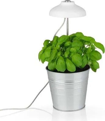 Image de MAXXMEE Lampe LED pour plantes avec tige télescopique - réglable en hauteur