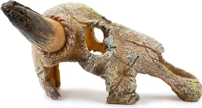 Produktbild von Happet Aquarium Ornament U713 Stierschädel 20 cm
