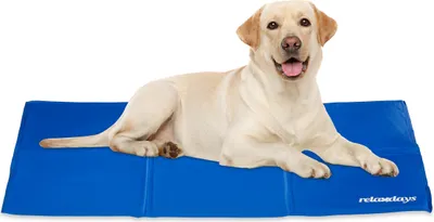Immagine prodotto di relaxdays Tappeto refrigerante blu per cani