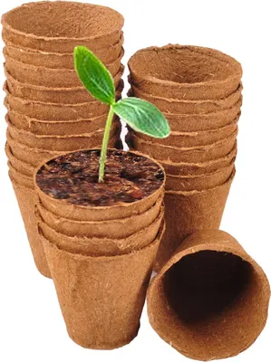 Image de Pots de culture classic floraworld Ø6cm 25 pièces