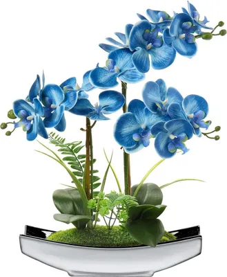 Productafbeelding van Kunstorchidee, kunstplant, Phalaenopsis, decoratie, 38 cm, blauw, in pot